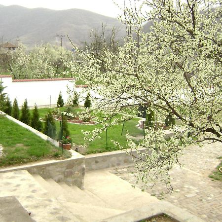 Pension Casa Natura Băile Herculane Zewnętrze zdjęcie