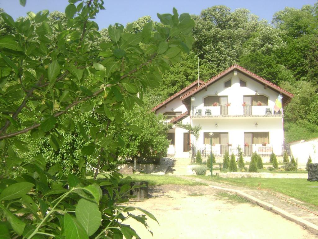 Pension Casa Natura Băile Herculane Zewnętrze zdjęcie