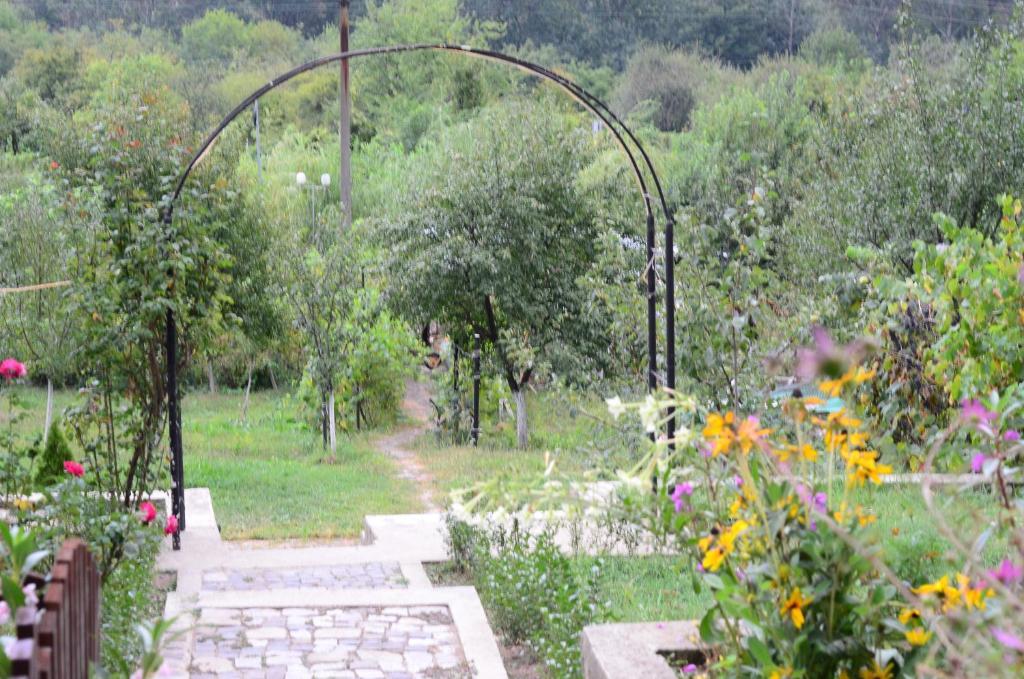 Pension Casa Natura Băile Herculane Zewnętrze zdjęcie