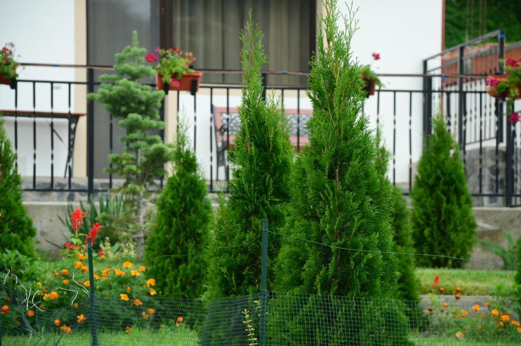 Pension Casa Natura Băile Herculane Zewnętrze zdjęcie