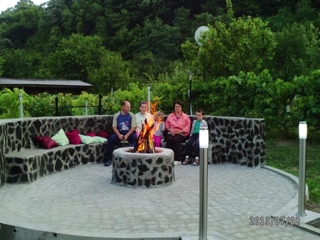 Pension Casa Natura Băile Herculane Zewnętrze zdjęcie