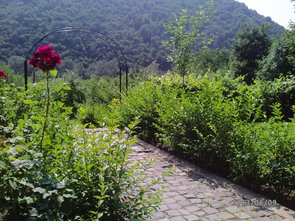Pension Casa Natura Băile Herculane Zewnętrze zdjęcie