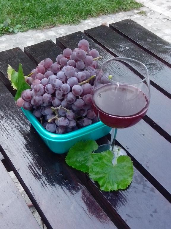 Pension Casa Natura Băile Herculane Zewnętrze zdjęcie