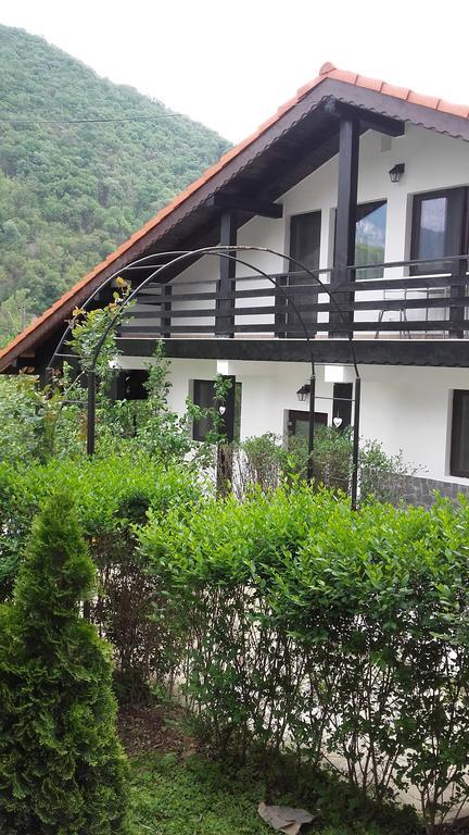 Pension Casa Natura Băile Herculane Zewnętrze zdjęcie