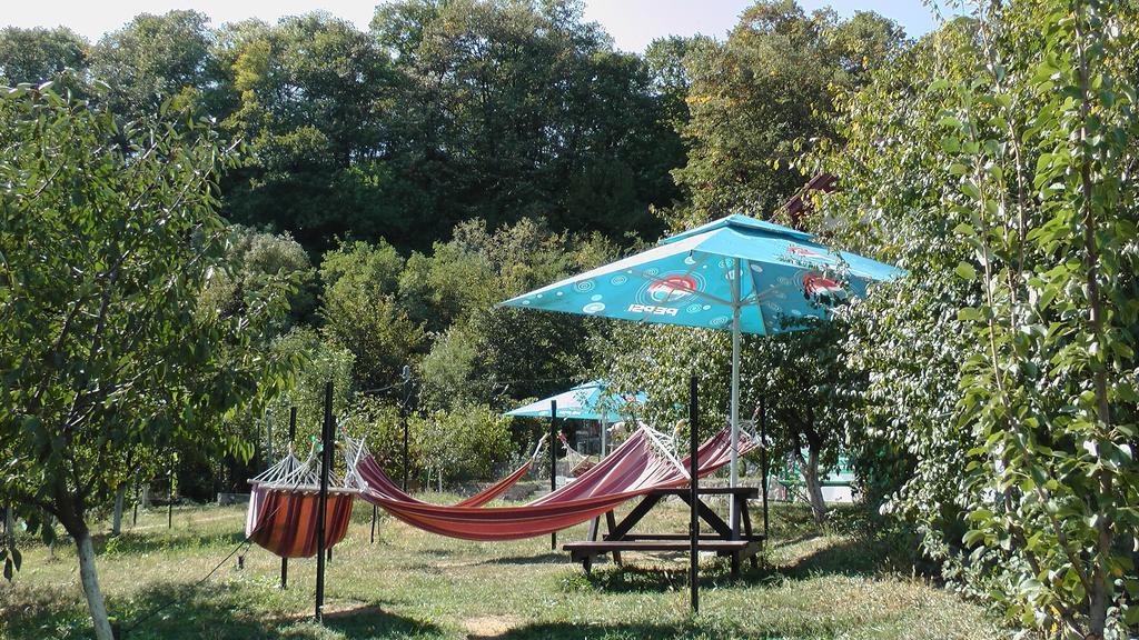 Pension Casa Natura Băile Herculane Zewnętrze zdjęcie