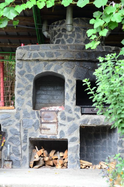 Pension Casa Natura Băile Herculane Zewnętrze zdjęcie